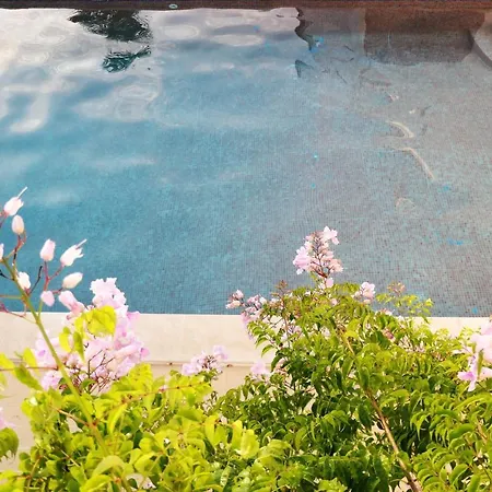Apartment Charming Carvoeiro Poolside Carvoeiro (Lagoa)