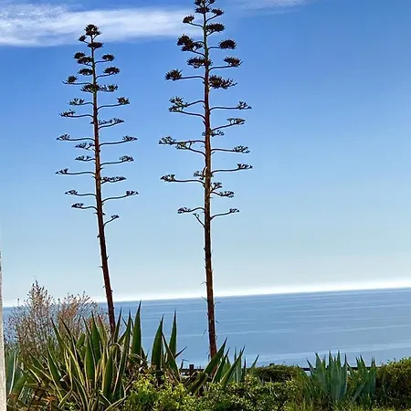 Apartament Charming Carvoeiro + Pool Carvoeiro (Lagoa)
